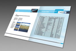 上海瑭晟環保技術產品畫冊與浙江中建網絡科技股份 專業網站建設服務指南